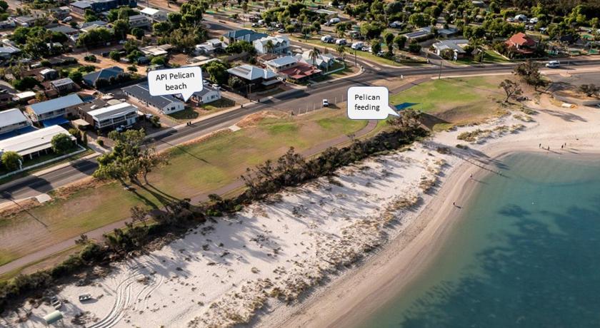 API Pelican Beach Front Apartments Kalbarri — Hotel in Kalbarri