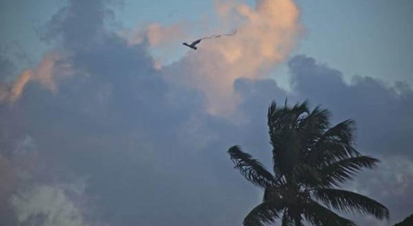 Pena Mar Ocean Club Best Views photo