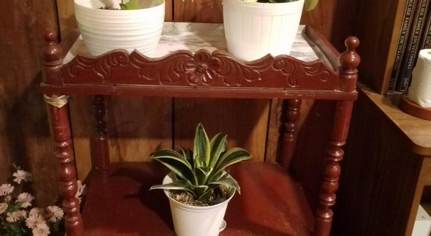 Adelle's Transient, spacious 3-bedroom homestay photo