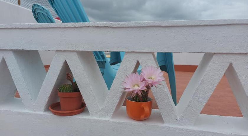 The Aqueduct Guesthouse photo