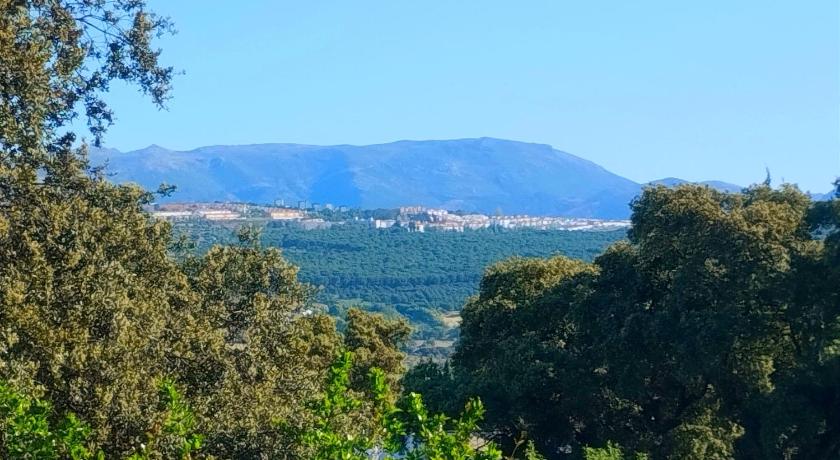 ロンダ La Casita de Piedra 5つ星 シングルルーム プール