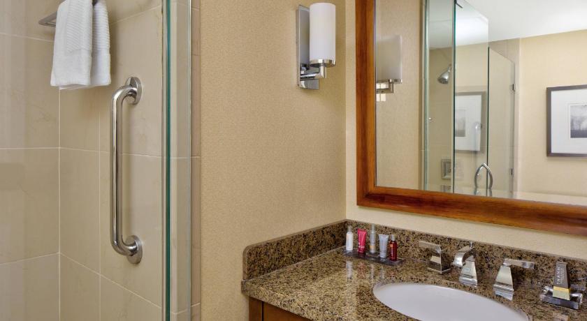 アトランタ Wyndham Atlanta Buckhead Hotel & Conference Center 4つ星 ホテル プール