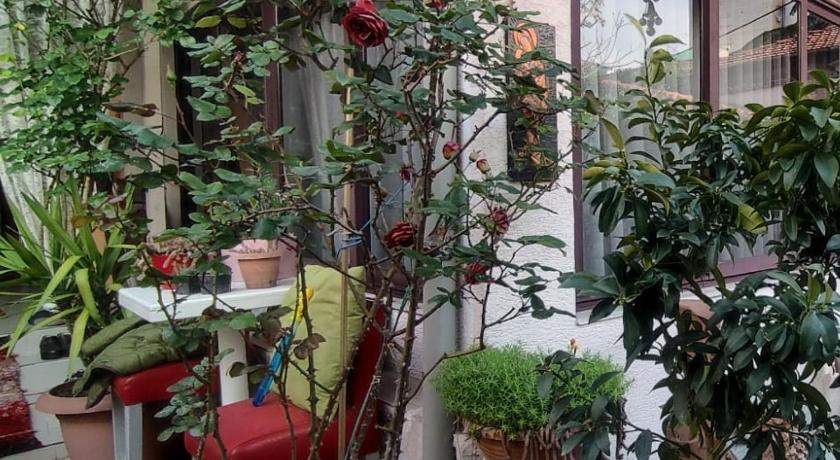 Guesthouse Hygge photo