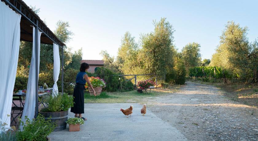 Agriturismo Tra gli Ulivi, Chiappini photo