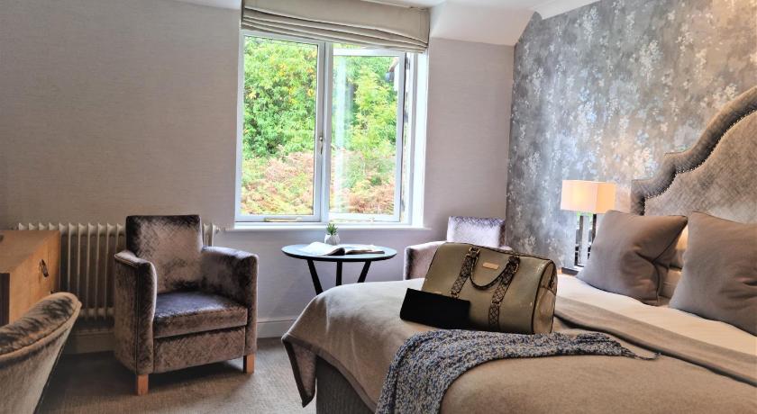 Image of Comfy King Room 8