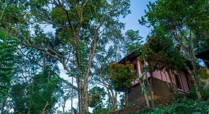 The Woods — Hotel in Haputale