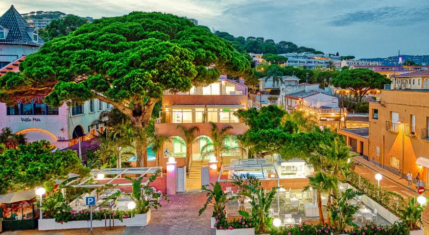 The Pink Elephant Hotel