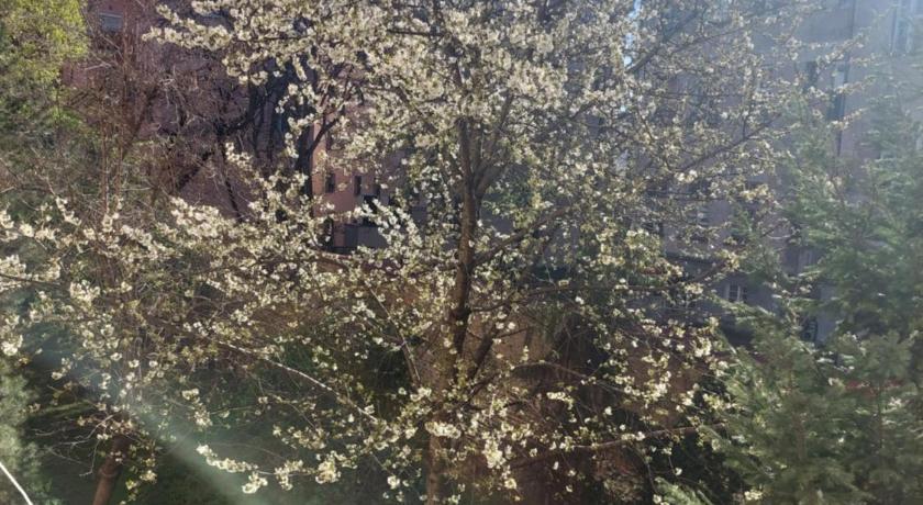 베오그라드 Dalmatinska apartment 3성급 싱글룸 부대시설