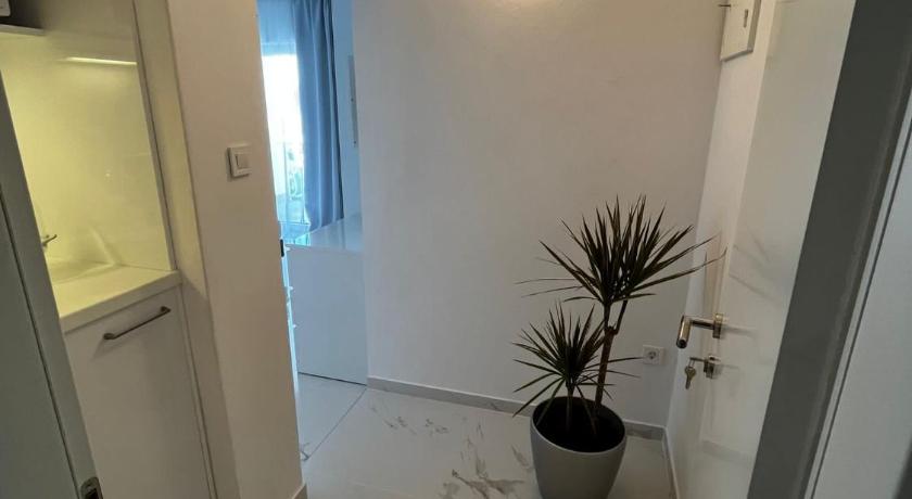 Apartments and Room Anka photo