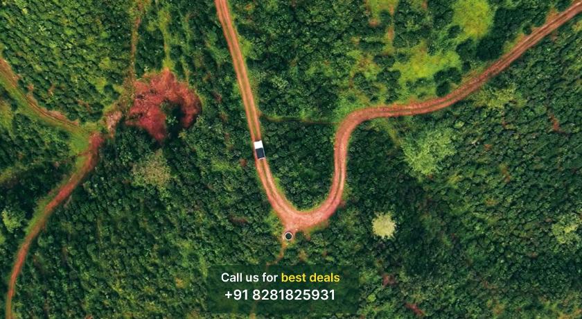 Mount Forest — Hotel in Wayanad