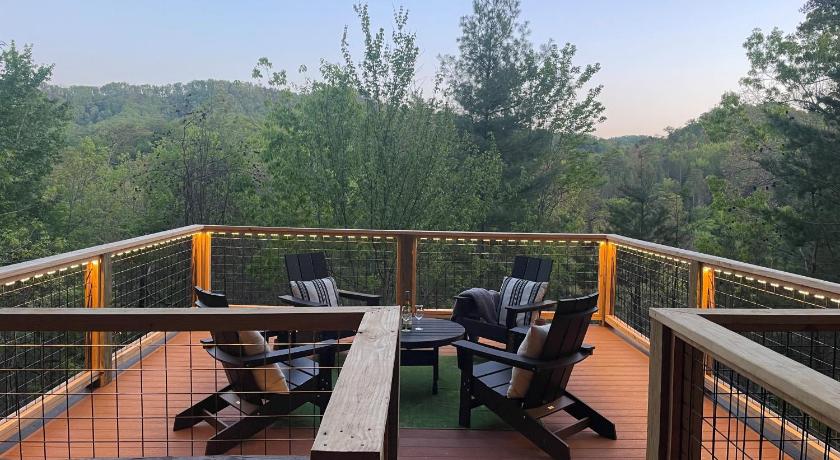 Treetops photo