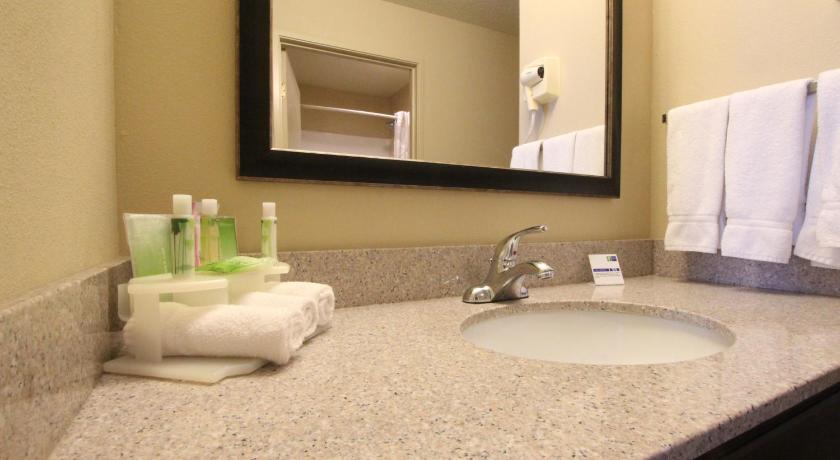 Holiday Inn Express Hotel & Suites Chicago-Libertyville