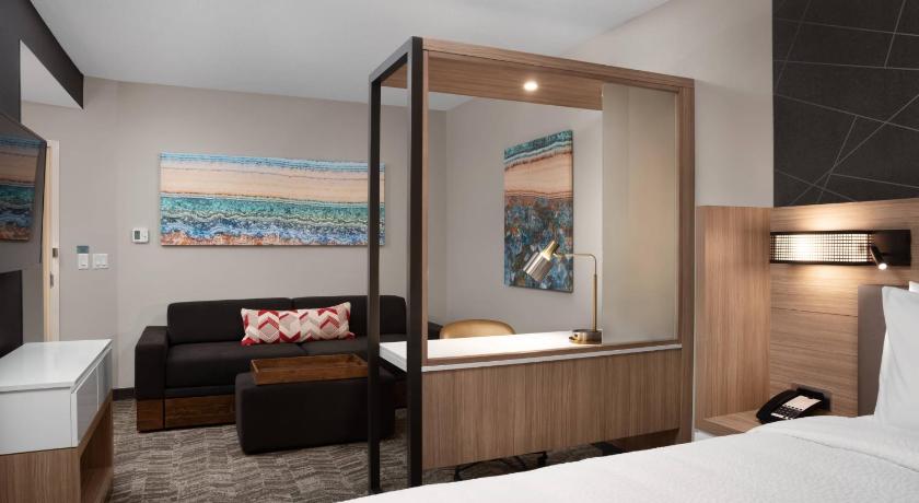 Springhill Suites by Marriott Orlando Theme Parks/Lake Buena Vista photo