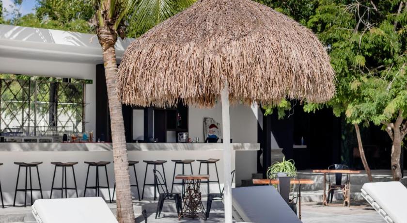 Jungle Lodge Boutique Hotel - Adults Only photo