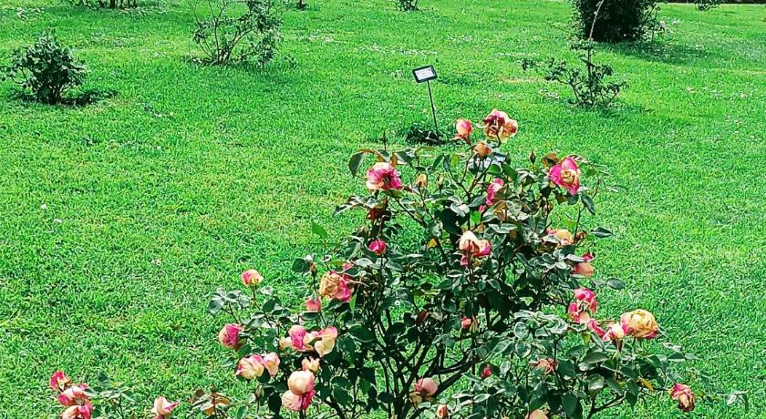 로마 PORTA MAGGIORE 9 ROMA Locazione Turistica 3성급 게스트하우스 부대시설