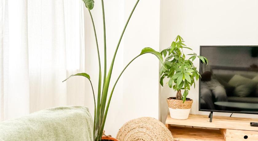 Cehegín A Lobeira Grande by ALOGA 3-Star Single Room suite