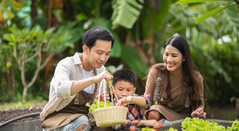 Green Me Organic Farm Stay Khao Yai - image 20
