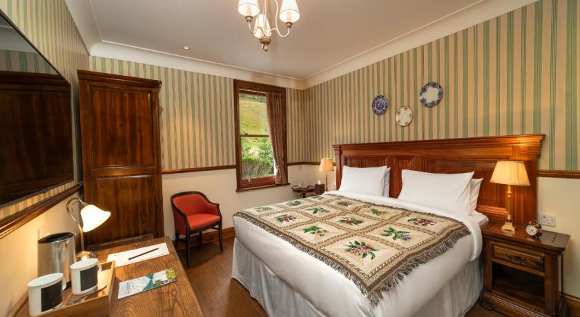 The Whispering Pine Lodge photo