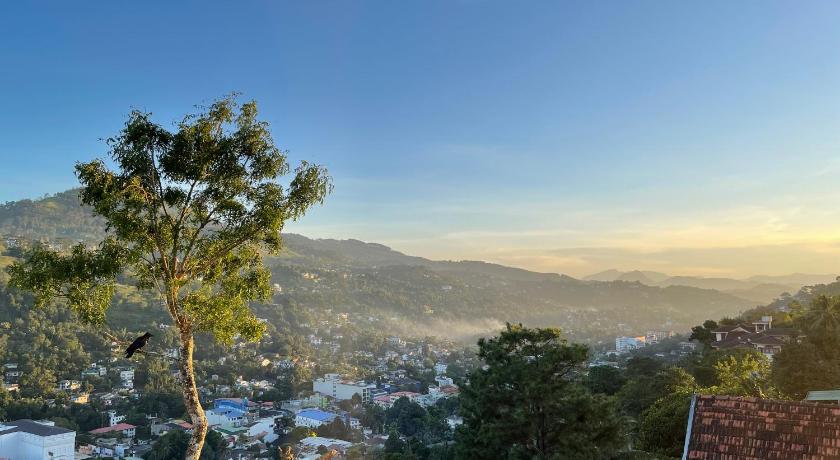 The SkyDeck Kandy photo