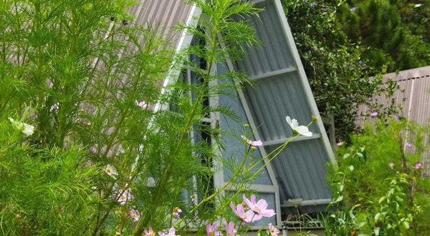 Tuyet Hoa Hon Bo Bungalow photo