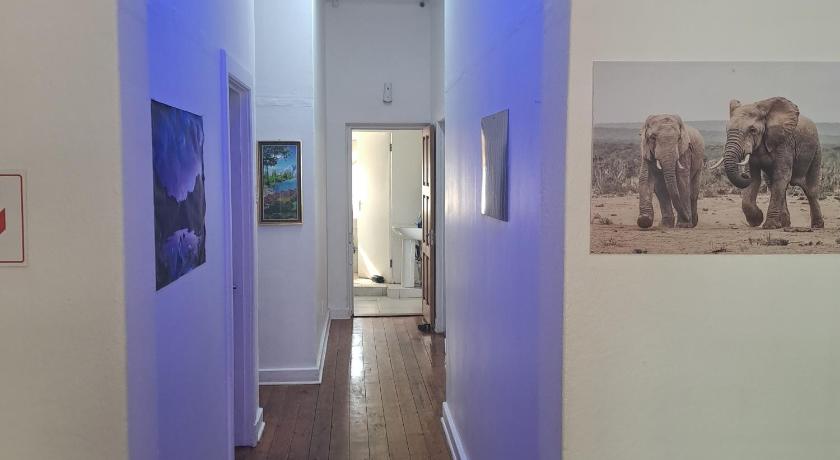 Moonlight Guesthouse photo