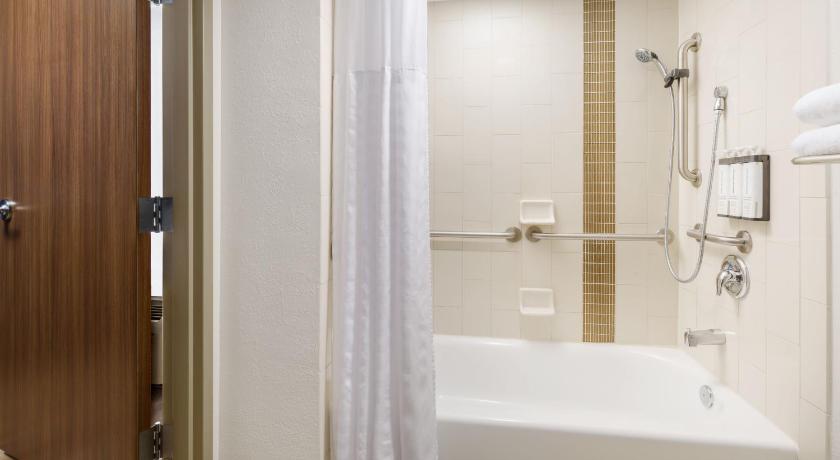 Image of Accessible King Bed/tub (plus Sofa Bed) 6