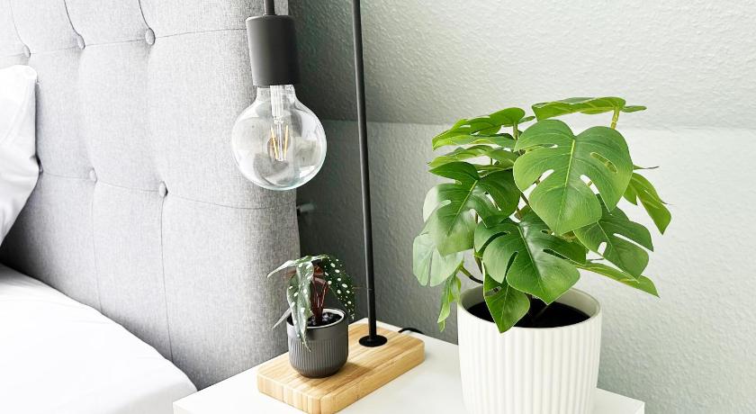 クレーフェルト Maisonette Apartment in Krefeld mit 2 Balkone 4つ星 シングルルーム 客室