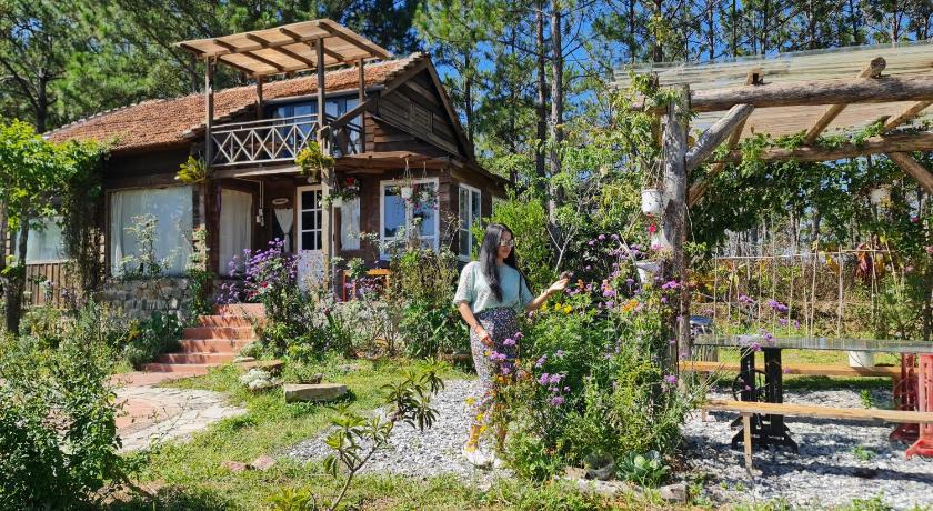 Romantic house on a pine hill Dalat photo