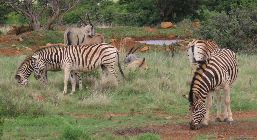 Tava Lingwe Game Lodge & Wedding Venue photo