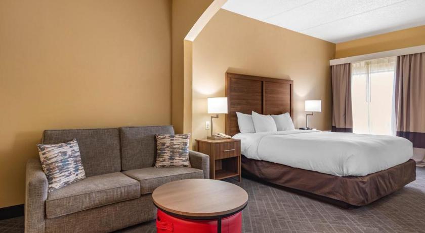 Comfort Inn & Suites at Stone Mountain photo