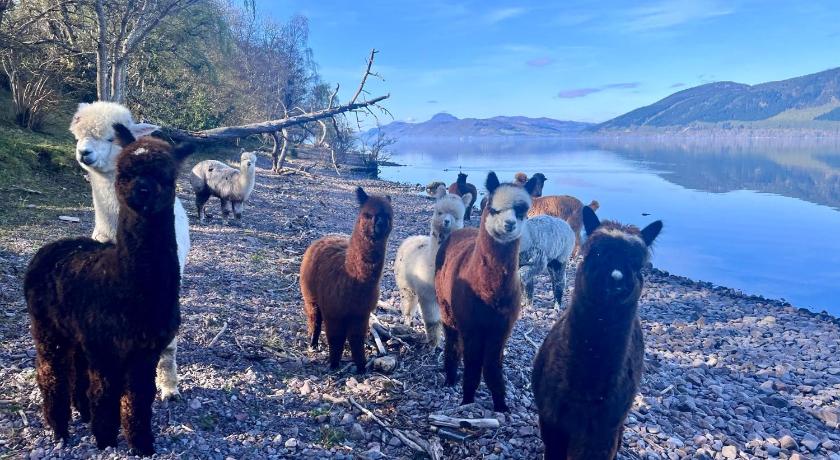 Balachladaich Loch Ness B&B photo