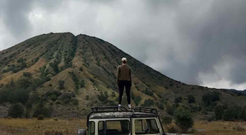 Ecobromo homestay photo