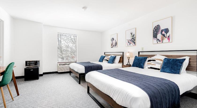 CozySuites CWE 2 queen bed suite photo