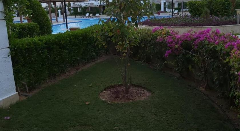 Rivera Sharm Habiba Apartments photo
