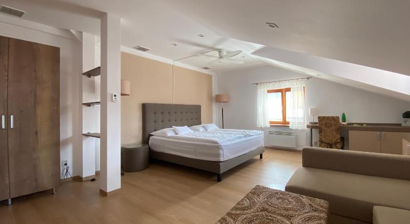 维索凯米托 Hotel MAGISTR Vsetin 3星级 酒店 套房