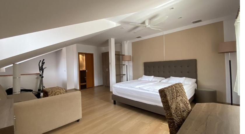 维索凯米托 Hotel MAGISTR Vsetin 3星级 酒店 餐厅