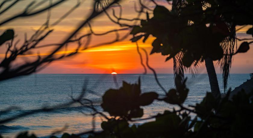 Puro Surf Hotel photo