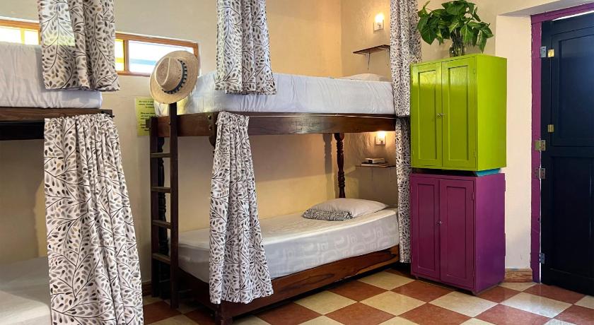 Image of Bed in 6-Bed Female Dormitory Room 3