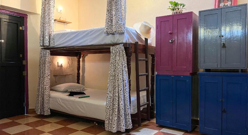Image of Bed in 6-Bed Female Dormitory Room 0
