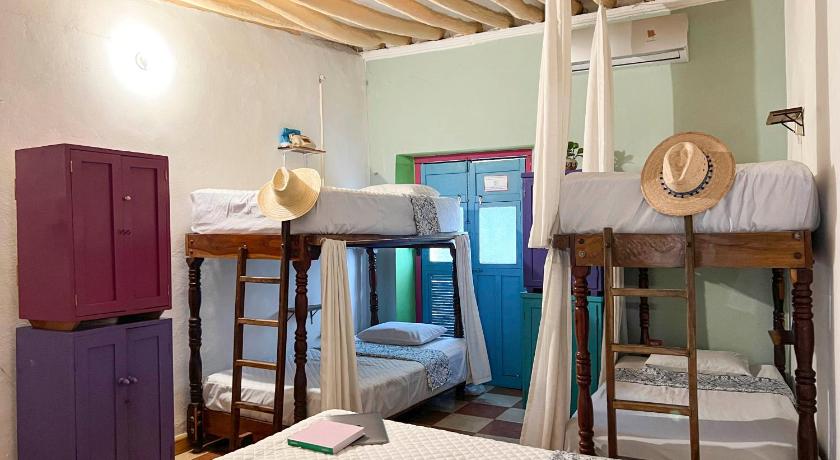 Image of Bunk Bed in Mixed Dormitory Room 1