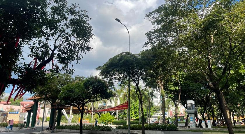 ホーチミン HANZ Camelia Hotel 3つ星 ホテル プール