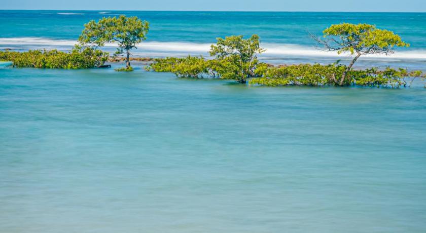 Pontal dos Carneiros Beach Bungalows photo