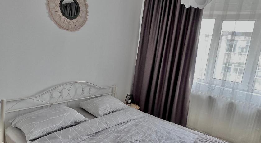 拉什卡 Cozy Apartment 4星级 单人房 大堂