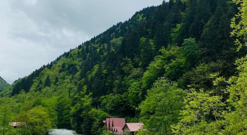 Kiyi Bungalov photo