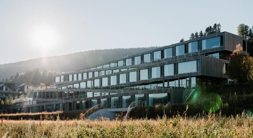 Hotel des Horlogers — Hotel in Le Chenit