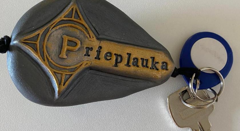 Rezidencija "Prieplauka" photo