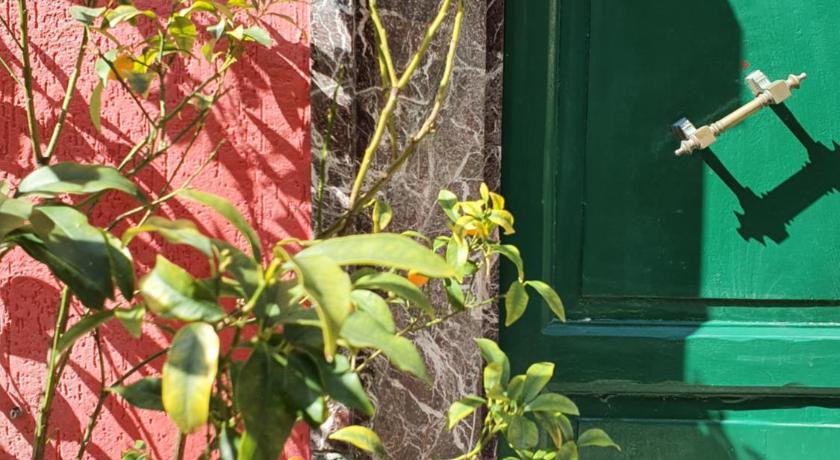 Boutique Hotel Novecento photo