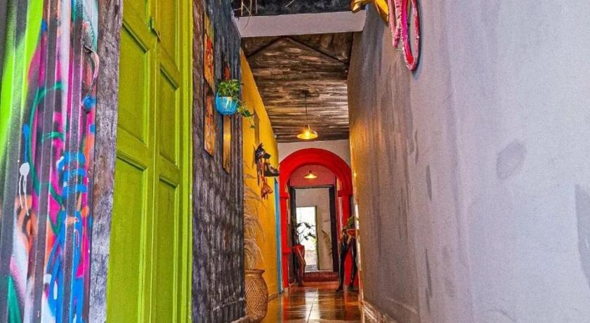 Urban Hostal Bar photo