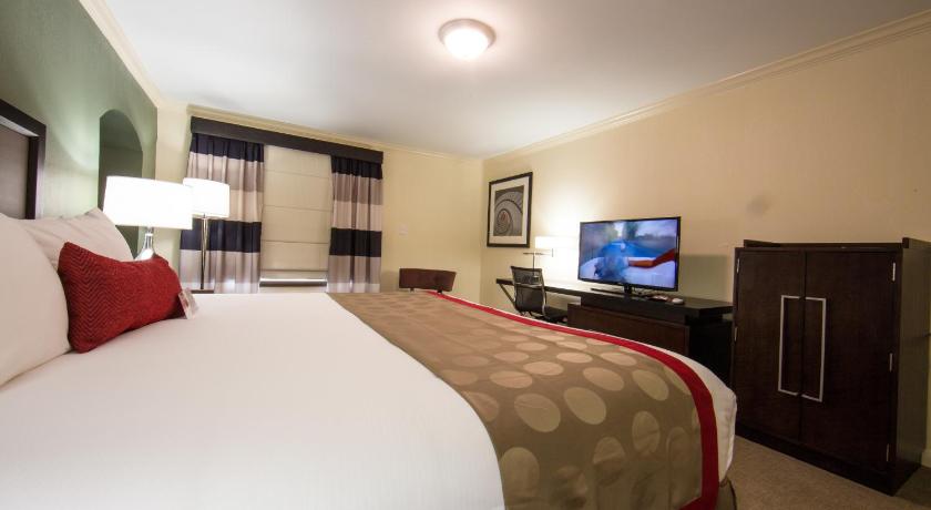 Image of 1 King Bed, Deluxe Studio Suite, Pool View, Non-Smoking 4