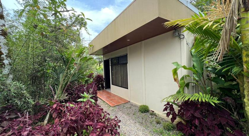 Hotel Rio Celeste to Know